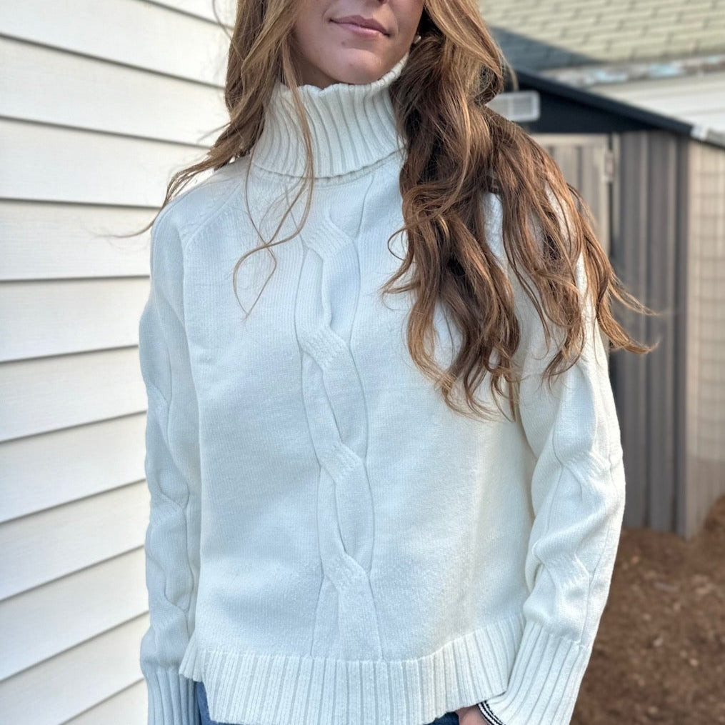 Jones Turtleneck Sweater