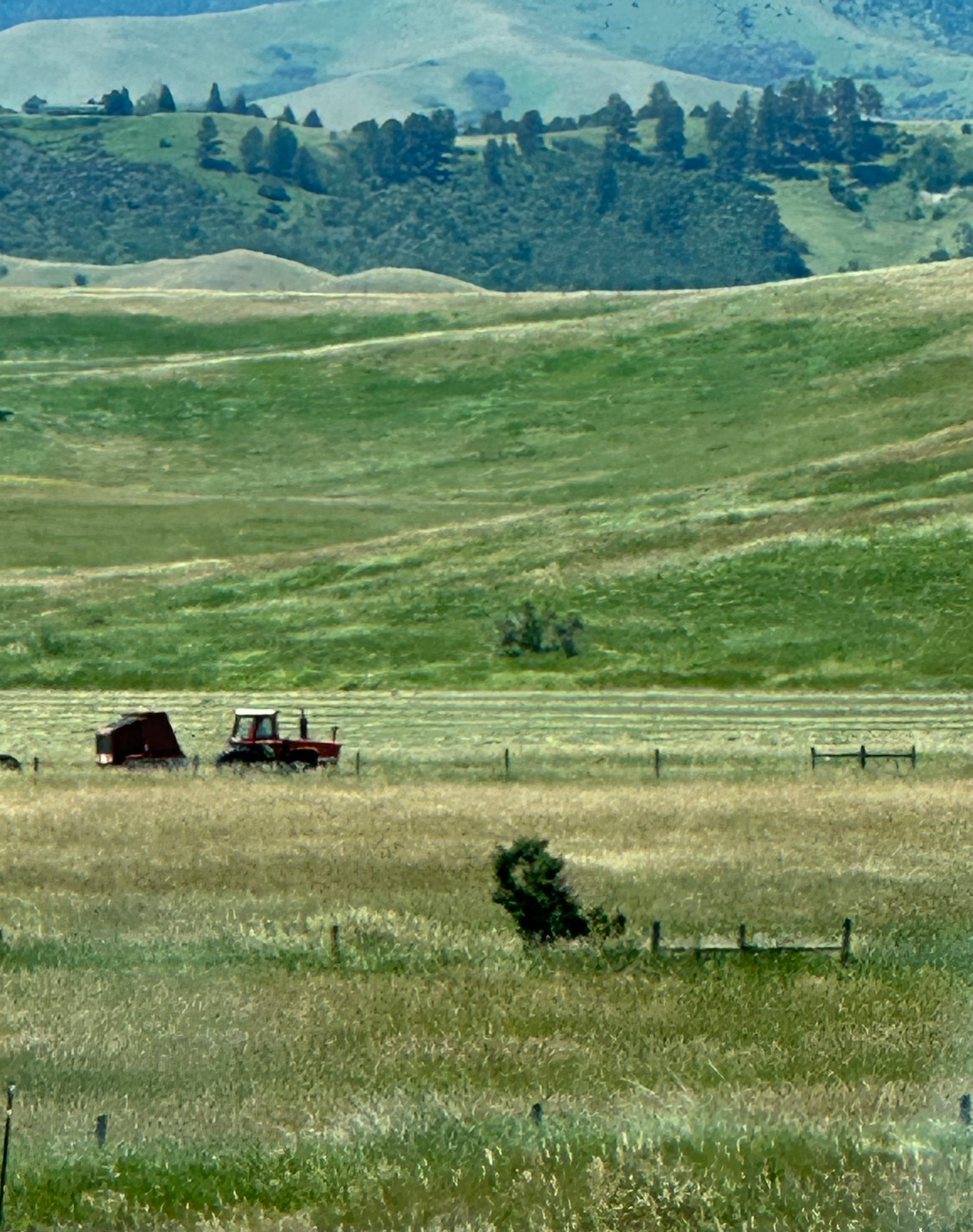 Texture and Lifestyle