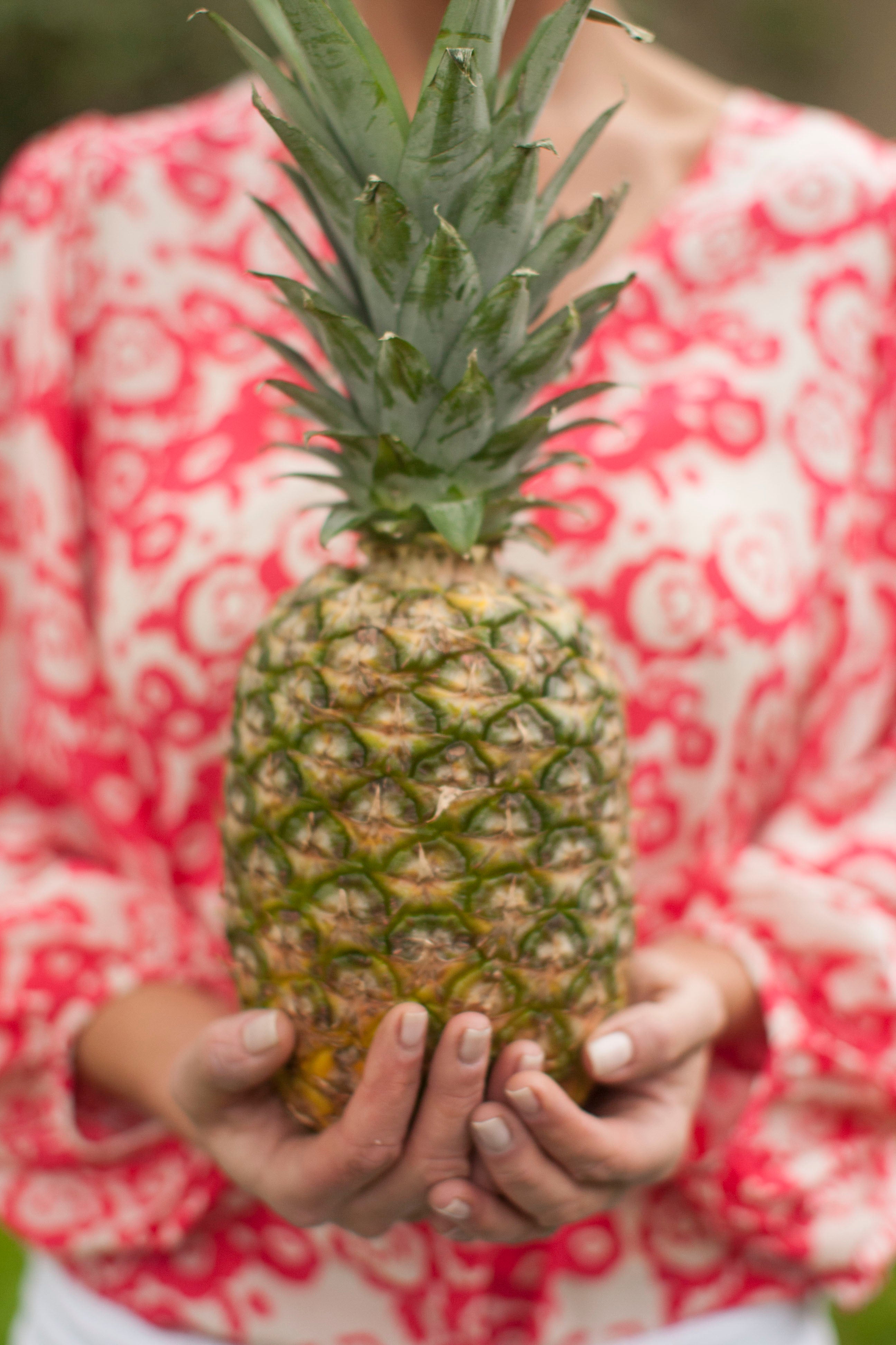 Welcome to IsleField